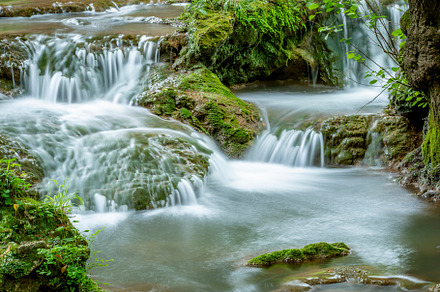 River Flowing Through Green Forest