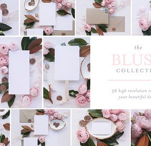 Blush - Invite Mock Up Bundle