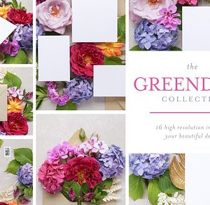 Greendale Invite Mockup Bundle