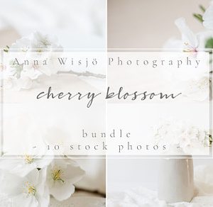 Cherry Blossom Styled Stock Bundle
