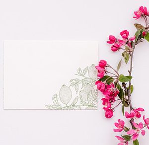 Spring Minimalist Stock Photo