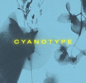 FLORAL Cyanotype