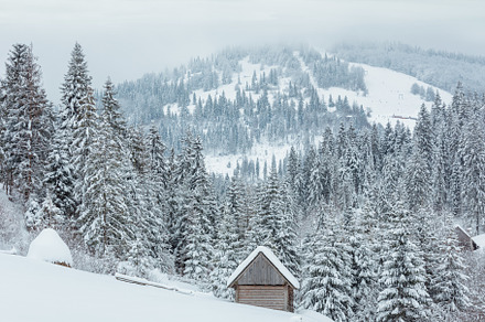Winter Carpathian Mountains landscape.